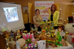 Powiatowe Targi Edukacyjne – Brzesko 2017