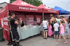 Piknik Motoryzacyjny na 150 Lat Powiatu Brzeskiego - 4 sierpnia 2017