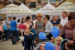 Finał uroczystości 150-lecia Powiatu Brzeskiego