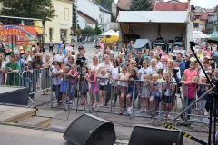 Koncertowo na 150 Lat Powiatu Brzeskiego - 10 września 2017