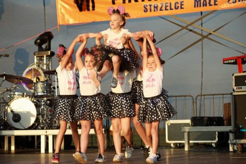 VII Piknik Lotniczy w Strzelcach Małych - 7 lipca 2019