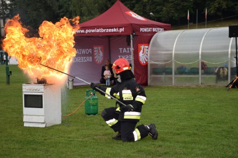 Aktywny i Bezpieczny Powiat Brzeski – piknik rodzinny w Jadownikach - 7 września 2019