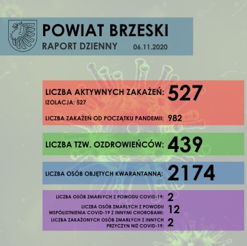 Sytuacja epidemiologiczna w Powiecie Brzeskim - raport dzienny