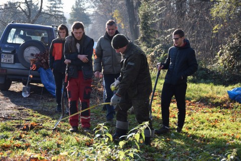 Sadzimy drzewa dla klimatu - projekt LIFE-IP EKOMAŁOPOLSKA - 23 listopada 2021