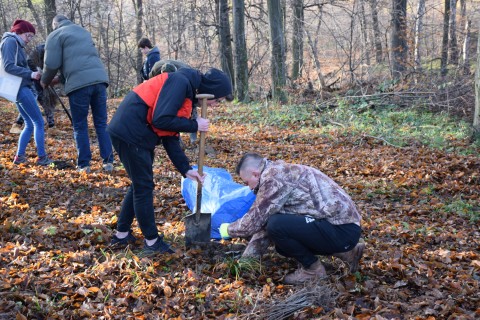 Sadzimy drzewa dla klimatu - projekt LIFE-IP EKOMAŁOPOLSKA - 23 listopada 2021