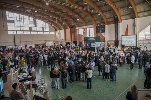 Powiatowe Targi Edukacyjne 2025 - 11-12 lutego 2025