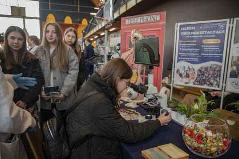 Powiatowe Targi Edukacyjne 2025 - 11-12 lutego 2025