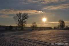 Partnerski Powiat - Powiat Lęborski