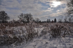 Partnerski Powiat - Powiat Lęborski