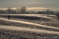 Partnerski Powiat - Powiat Lęborski