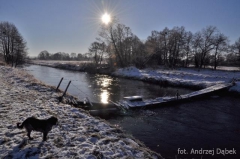 Partnerski Powiat - Powiat Lęborski