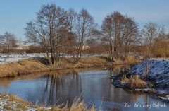 Partnerski Powiat - Powiat Lęborski