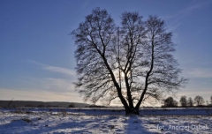 Partnerski Powiat - Powiat Lęborski