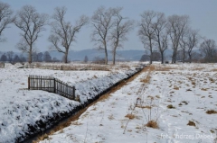 Partnerski Powiat - Powiat Lęborski