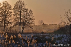 Partnerski Powiat - Powiat Lęborski