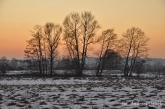 Partnerski Powiat - Powiat Lęborski