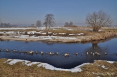 Partnerski Powiat - Powiat Lęborski