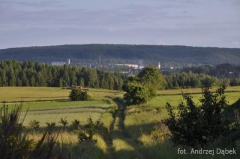 Partnerski Powiat - Powiat Lęborski