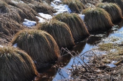 Partnerski Powiat - Powiat Lęborski