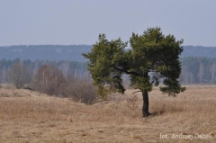 Partnerski Powiat - Powiat Lęborski