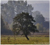Partnerski Powiat - Powiat Lęborski