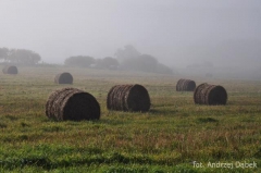 Partnerski Powiat - Powiat Lęborski