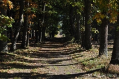 Partnerski Powiat - Powiat Lęborski