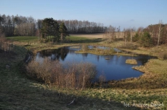 Partnerski Powiat - Powiat Lęborski