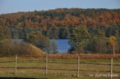 Partnerski Powiat - Powiat Lęborski