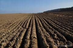 Partnerski Powiat - Powiat Lęborski