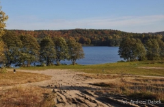 Partnerski Powiat - Powiat Lęborski