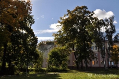 Partnerski Powiat - Powiat Lęborski