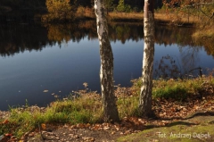 Partnerski Powiat - Powiat Lęborski