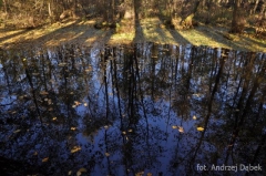 Partnerski Powiat - Powiat Lęborski