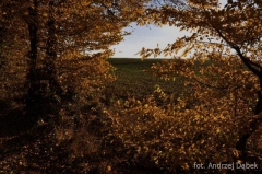 Partnerski Powiat - Powiat Lęborski