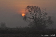 Partnerski Powiat - Powiat Lęborski