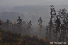Partnerski Powiat - Powiat Lęborski