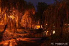 Partnerski Powiat - Powiat Lęborski