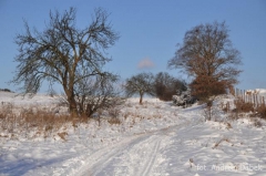 Partnerski Powiat - Powiat Lęborski