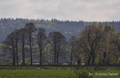 Partnerski Powiat - Powiat Lęborski
