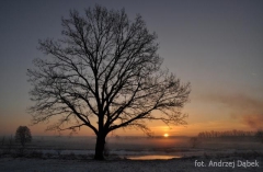 Partnerski Powiat - Powiat Lęborski