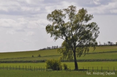 Partnerski Powiat - Powiat Lęborski