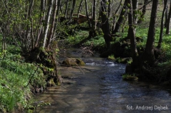 Partnerski Powiat - Powiat Lęborski