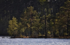 Partnerski Powiat - Powiat Lęborski