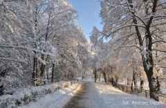 Partnerski Powiat - Powiat Lęborski
