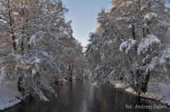 Partnerski Powiat - Powiat Lęborski