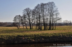 Partnerski Powiat - Powiat Lęborski