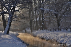 Partnerski Powiat - Powiat Lęborski