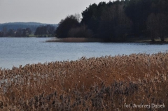 Partnerski Powiat - Powiat Lęborski