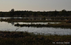 Partnerski Powiat - Powiat Lęborski